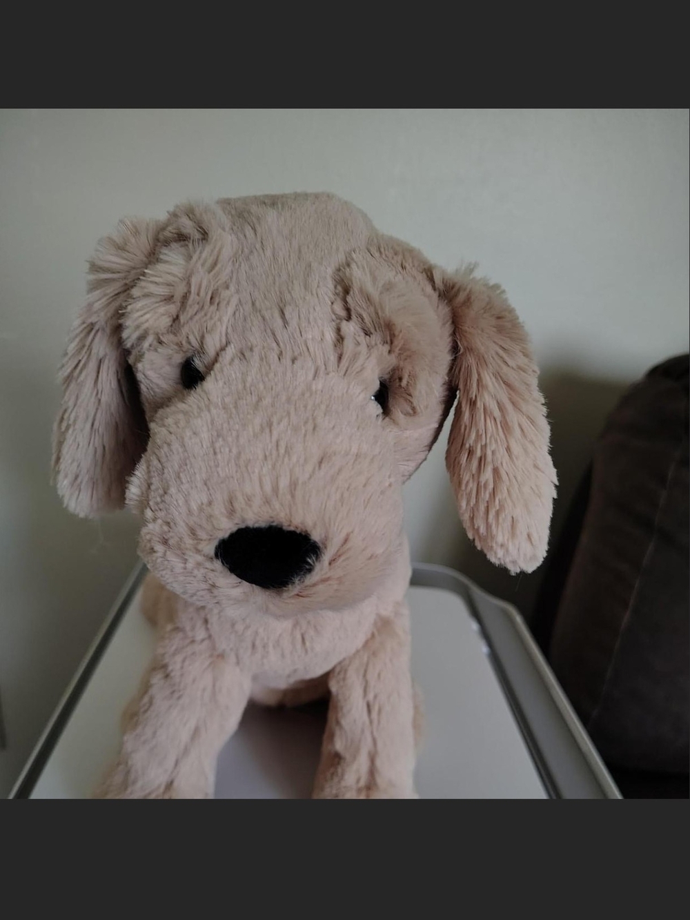 Jellycat Soft Beige Puppy Plush Dog Toy